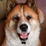 Mark Christman - @chillerman1957 - Instagram