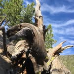 Mark Chumley - @chumley.mark - Instagram