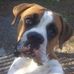 Mark Ciccarello - Facebook