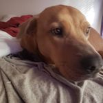 Mark Cioffi - @markcioffi - Instagram