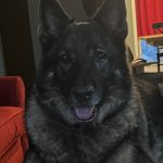 Mark Clawson - @kodadawg33 - Instagram