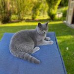Mark Clawson - @clawson6635 - Instagram
