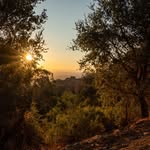 Mark M Clevenger - @mclev1210 - Instagram