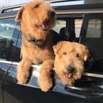 Mark Russell Clevenger - @markrussellclevenger - Instagram