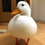 Mark Clever - @markclever110 - Instagram