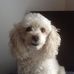Mark Clift - Facebook