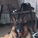 Mark Clingerman - Facebook