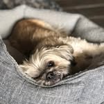 Mark Cloud - @mvcloud_ - Instagram