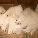 Mark coates - @mark.coates1 - Instagram