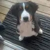 Mark Coates - @mark.coates44 - TikTok