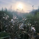 Mark Cobbold - @theroadlenstravels - Instagram