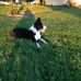 Marcus Coblentz - Facebook