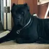Mark Cody - @mark.cody24 - TikTok