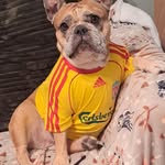 Mark Coe - @mark.coe.566 - Instagram