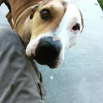 Mark Coe - @markcoe6 - Instagram