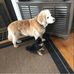Mark Cohn - Facebook