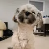 Mk - @mark.ii.cold - TikTok