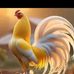Mark Coll - Facebook