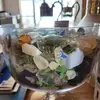 Mark Collier - @mark.collier39 - TikTok