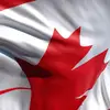 Mark🇨🇦 - @markcollier59 - TikTok