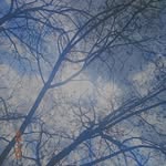 Mark Melly - @mark_collins_melly - Instagram