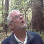 Mark Colman - @mark.colman.752 - Instagram
