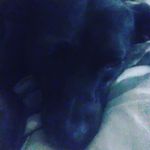 mark combs - @h20_killer_man - Instagram