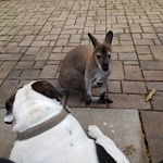 Mark Combs - @mark.combs.77128 - Instagram