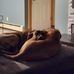 Mark Comeau - Facebook