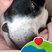 Mark Conboy - Facebook