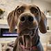 Mark Conrad - Facebook