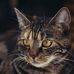 Mark Conrad - Facebook