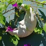 Mark Conrad - @markconradphotography - Instagram