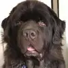Mark Constable - @markconstable2000 - TikTok