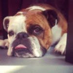 Mark Contois - @contois4 - Instagram
