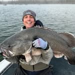 Mark Cook - @simply_sonar - Instagram