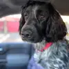 Mark Cook - @cook.tm - TikTok