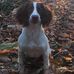 Mark Coombes - Facebook