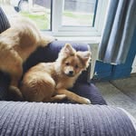 Mark Coomer - @coomermark - Instagram