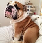 Mark Cooper - Facebook