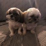 Mark Cope - @mbcope123 - Instagram