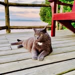 Mark Cordell - @markkcordell - Instagram