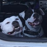 Mark Corwin - @markcorwin911 - Instagram