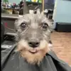 markcosenza0 - @markcosenza0 - TikTok