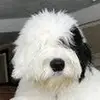 markcosner612 - @markcosner612 - TikTok