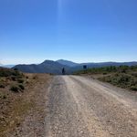 Mark - @mark.mileage.counter - Instagram