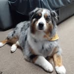 Paullette N Mark Couturier - @paullette99 - Instagram