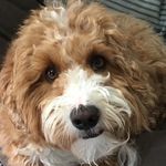 Mark Coventry - @mark.coventry - Instagram