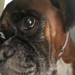 Mark Cowell - @mark.cowell.18294 - Instagram