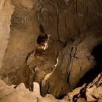 Mark Cowell - @cowell8962 - Instagram